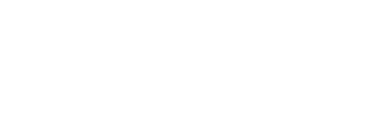 オプション1点追加ごと500円（税込 550円）