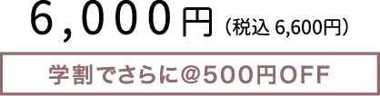 6,000円 （税込 6,600円）